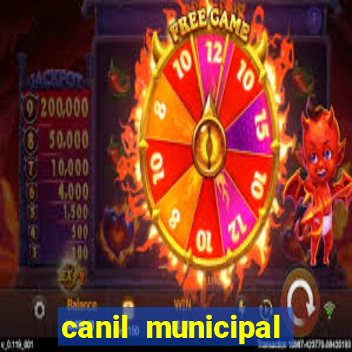 canil municipal porto alegre